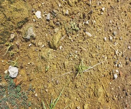 The floor wall texture Foto stock