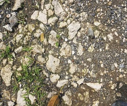 The floor wall texture Stock Photos