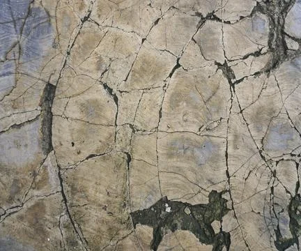 The floor wall texture Stock Photos