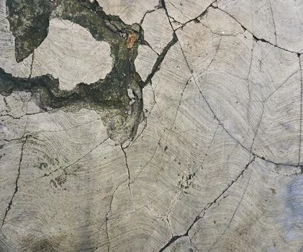 The floor wall texture Foto stock