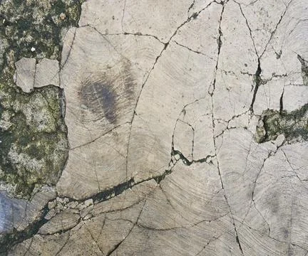 The floor wall texture Stock Photos