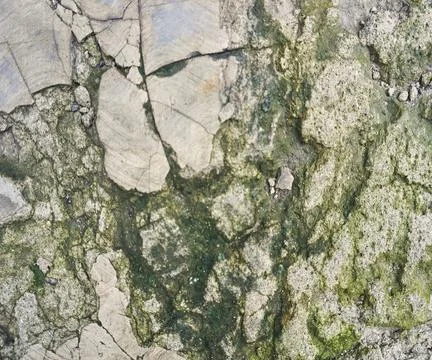 The floor wall texture Stock Photos