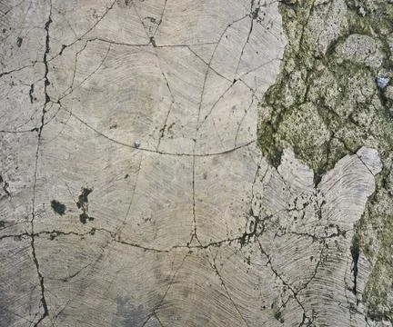 The floor wall texture Stock Photos