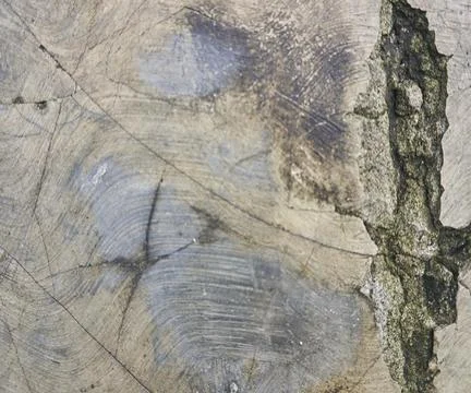 The floor wall texture Stock Photos