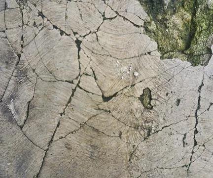 The floor wall texture Stock Photos