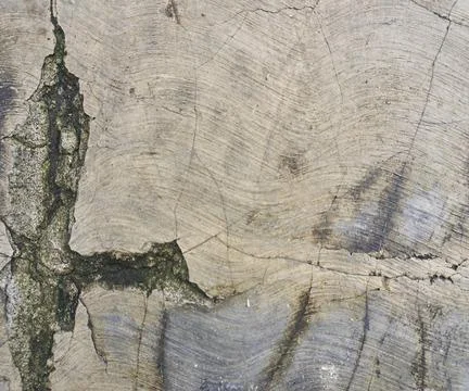 The floor wall texture Stock Photos