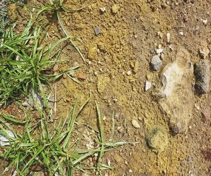 The floor wall texture Stock Photos