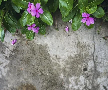 The floor wall texture Foto stock