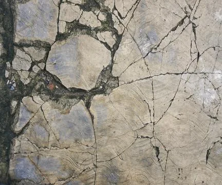 The floor wall texture Stock Photos