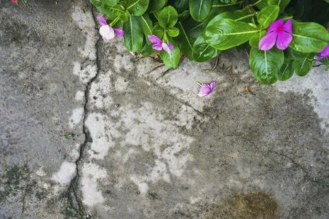 The floor wall texture Stock Photos