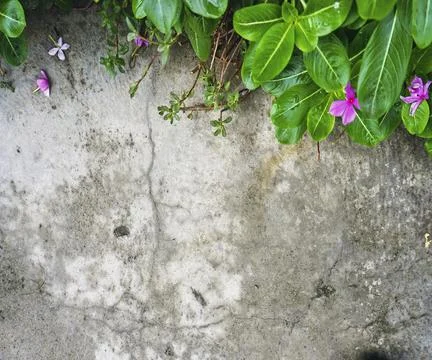 The floor wall texture Stock Photos