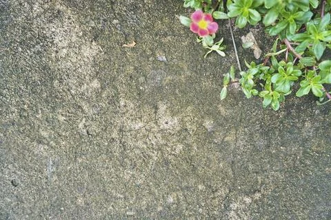 The floor wall texture Foto stock