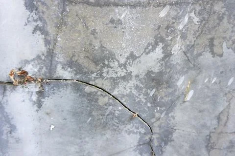 The floor wall texture Stock Photos