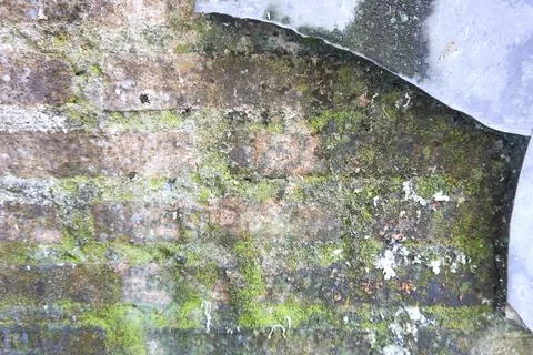 The floor wall texture Stock Photos