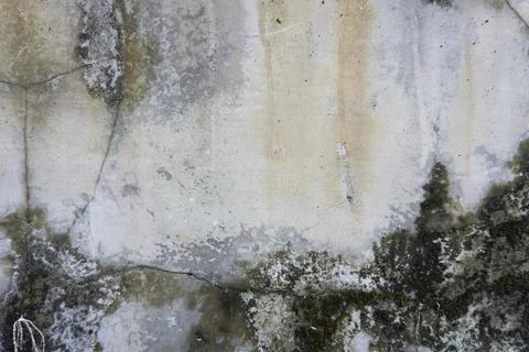 The floor wall texture Foto stock