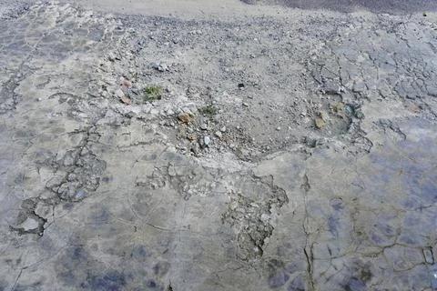 The floor wall texture Stock Photos