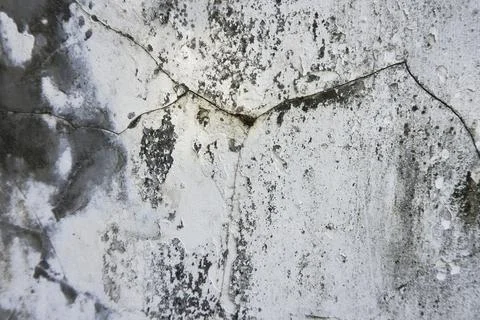 The floor wall texture Stock Photos