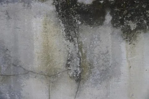 The floor wall texture Stock Photos