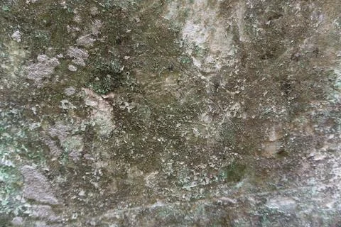 The floor wall texture Stock Photos