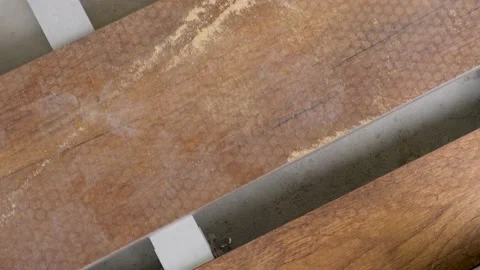 Flooring installation work construction home renovation building wood deck plank Stock Footage 155821876