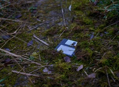 Floppy disk lie on ground between some moos Stock Photos