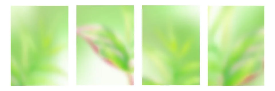 Flor10 Stock Illustration