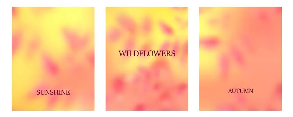 Flor21 Stock Illustration