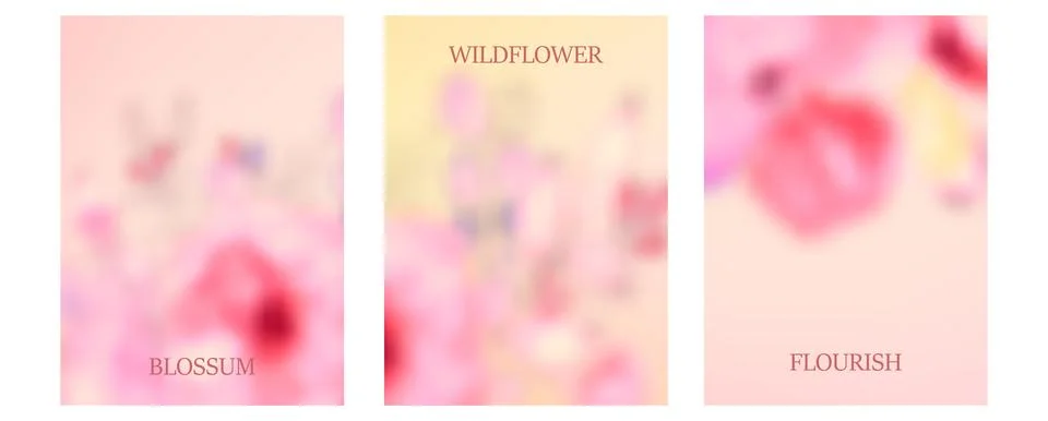 Flor28 Stock Illustration