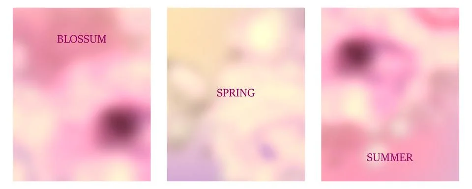 Flor29 Stock Illustration