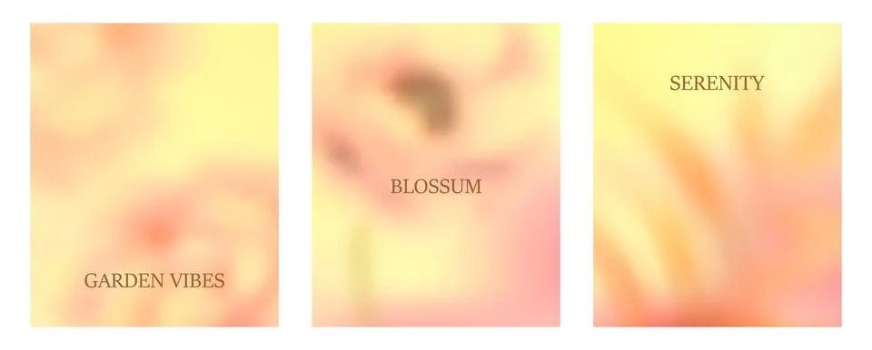 Flor33 Stock Illustration