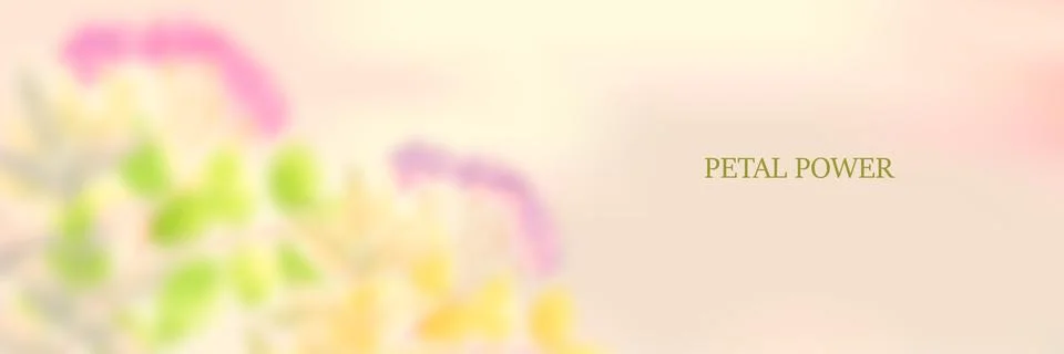 Flor41 Stock Illustration