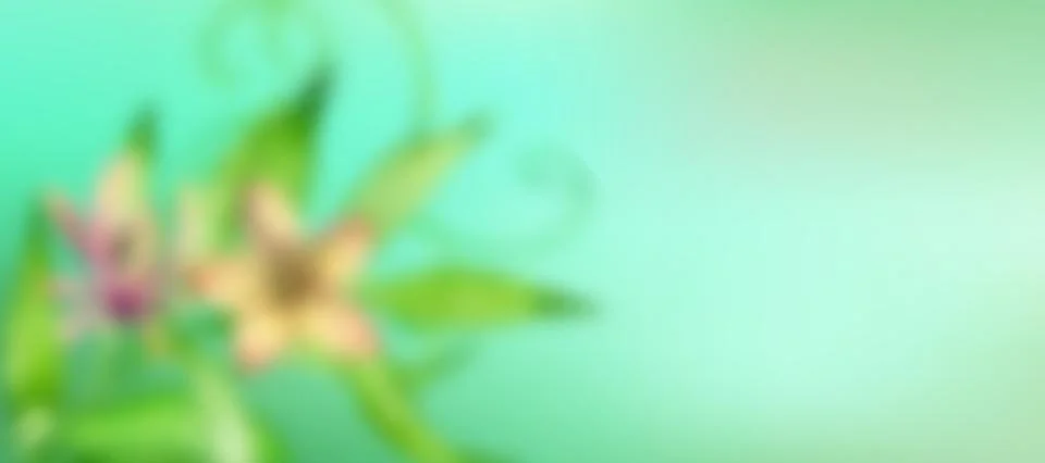 Flor5 Stock Illustration