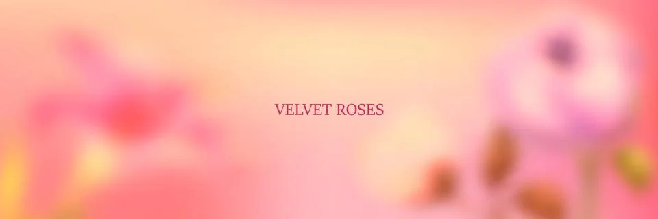 Flor53 Stock Illustration