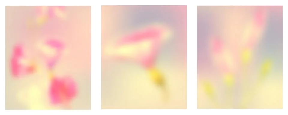 Flor63 Stock Illustration