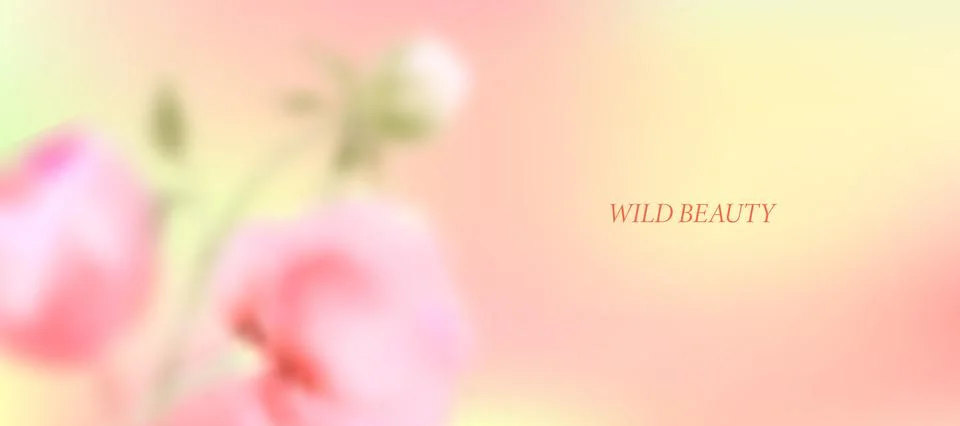 Flor68 Stock Illustration