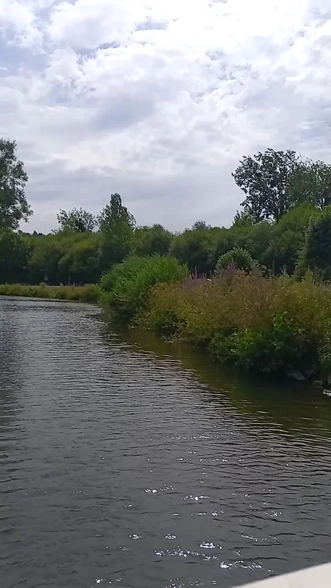 Flora and cycle path in the riverside Stock Footage 314115139