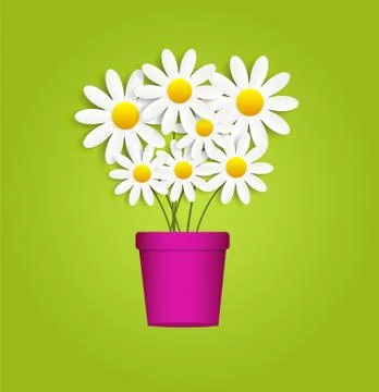 Flora Daisyl Design Vector Illustartion Illustrazione stock