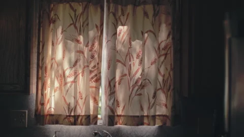 Flora Shadows Through Floral Drapes Stock Footage 242117310