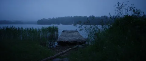 Flora with stone pier on lake during foggy day Stock Footage 85886002