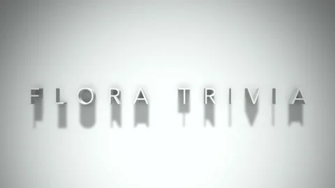 Flora trivia 3D title animation with shadows on a white background Stock Footage 298000009