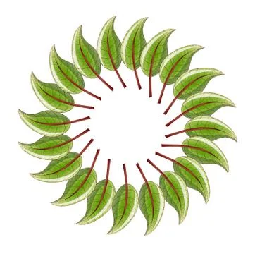 Floral abstract background. Stock Illustration