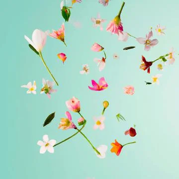 Floral abstract background Stock Illustration