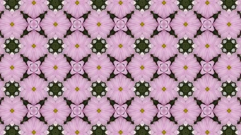 Floral abstract background pattern. Stock Footage 73172420