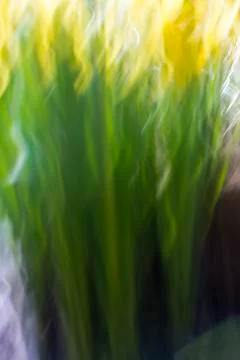 Floral abstract background. Stock Photos
