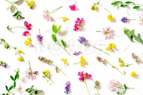 Floral abstract background. Stock-Fotos