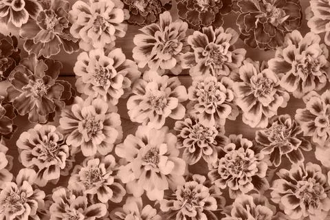 Floral abstract background Stock Photos