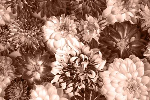 Floral abstract background Stock Photos