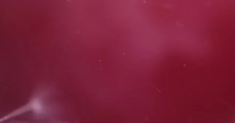 Floral Abstract Composition  Submerged in Murky Liquid Stock Footage 274955828