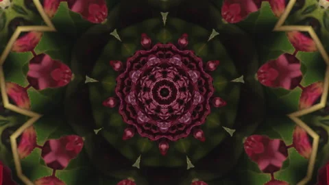 Floral abstract of geometric shape. Stock Footage 318581344