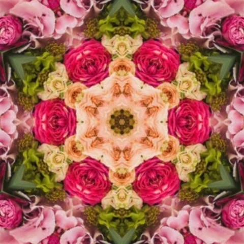 Floral and green leaf pattern design Seamless Geometry shape Video Background Stock Footage 227528388